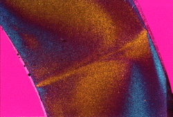 Bild: Dünnschliff im Lichtmikroskop